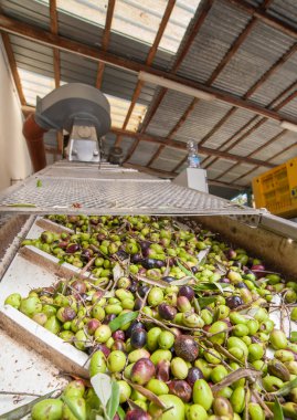 Yağ fabrikası işlemi