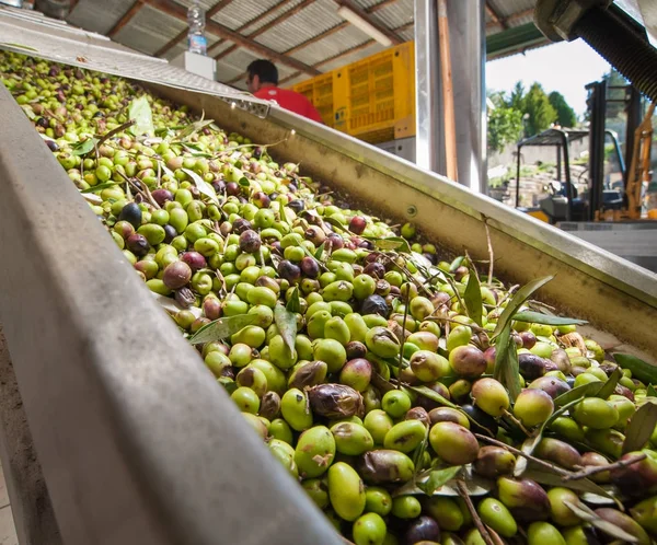 Proceso de molino — Foto de Stock