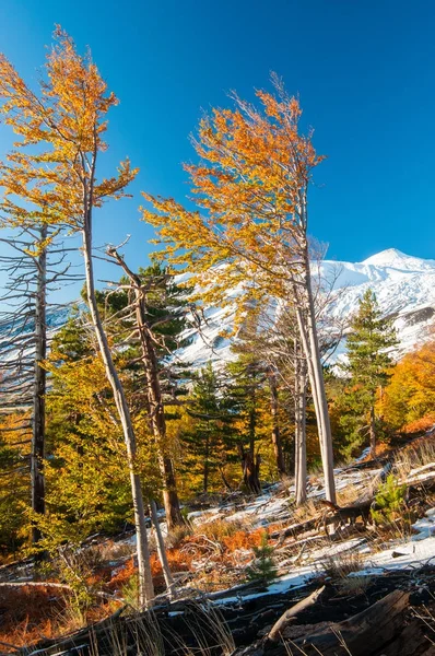 Monte Etna, Itália — Fotografia de Stock