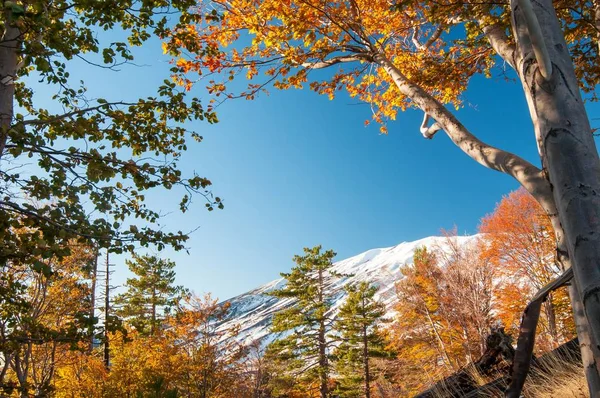 Parco dell'Etna — Foto Stock