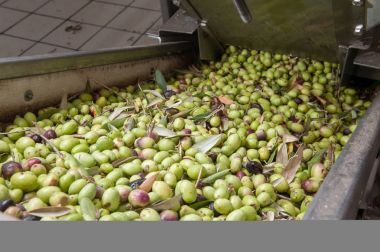 Yağ fabrikası işlemi