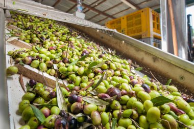 Yağ fabrikası işlemi