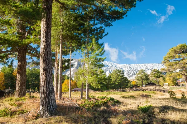 Etna paesaggi — Foto Stock