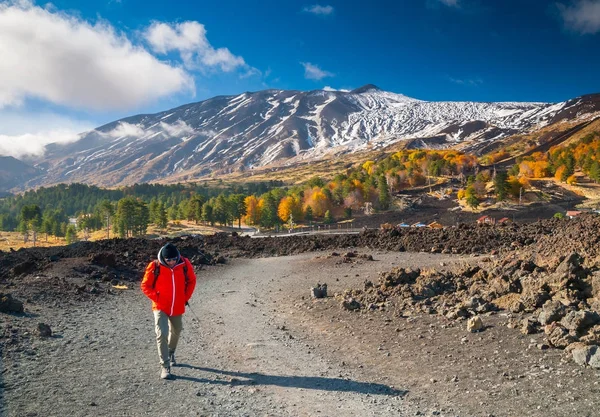 Vista Panoramica Sul Versante Settentrionale Dell Etna Sicilia Con Pineta — Foto Stock