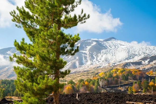 Paisagens etna — Fotografia de Stock