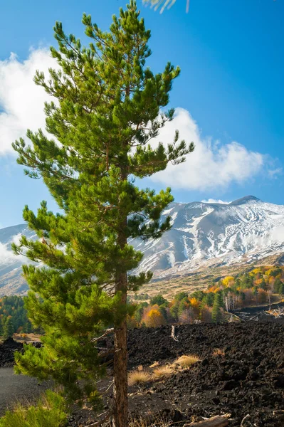 Etna tájak — Stock Fotó