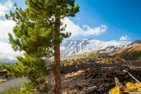 Etna tájak — Stock Fotó