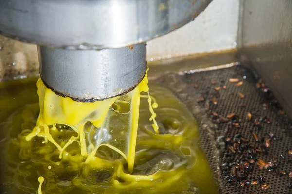 Olive washing phase — Stock Photo, Image