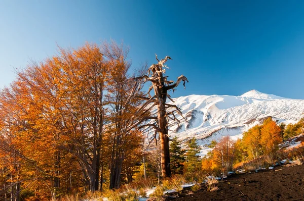 Monte Etna, Itália — Fotografia de Stock