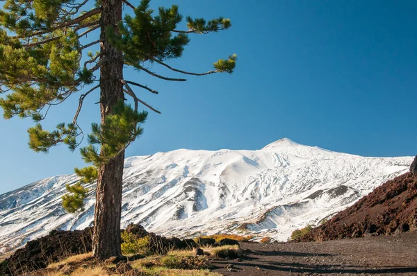 Etna landskap — Stockfoto