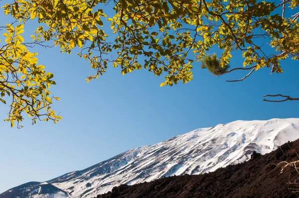 Mount Etna Park — Stockfoto