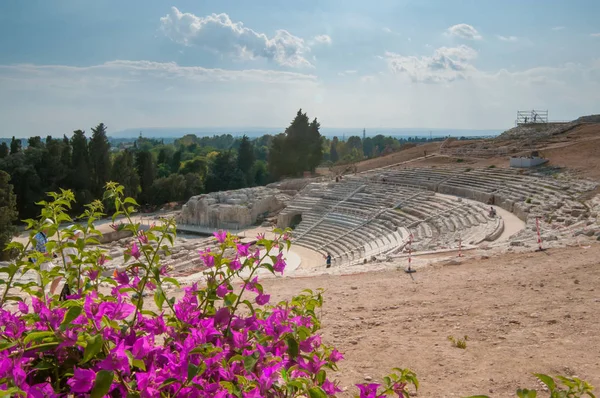 Famoso Teatro Grego Siracusa Sicília Com Uma Planta Buganvílias Floridas — Fotografia de Stock