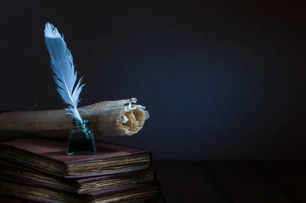 Ganzenveer en oude boeken — Stockfoto