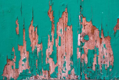 Rastgele renklendirilmiş motifler