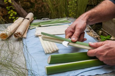 Syracuse 'daki papirüs sanatçısı ince şeritler elde etmek için papirüs bitkisinin sapını kesiyor.
