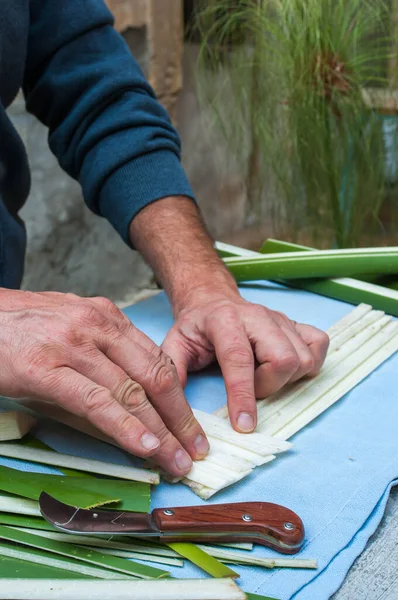 シラキュースのパピルス紙の職人は 植物の茎から得られた垂直方向のストリップを重ねています — ストック写真