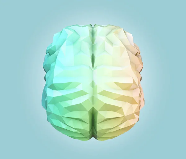 Vorderseite des Low-Poly-Brain-Modells — Stockfoto