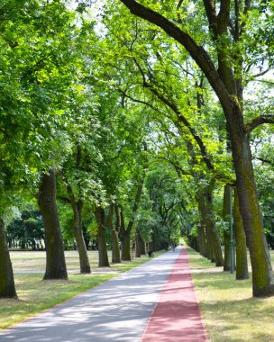 Parkta yaz yürüyüş