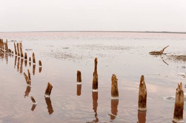 Terk edilmiş pembe göl Sasyk-Sivash. Boş tuzlu sanayi.