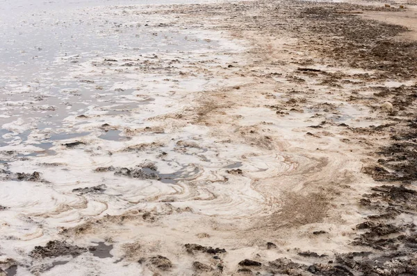 Pembe bir tuz gölünün kıyısında. Su sarmaşığındaki kalın mineral..