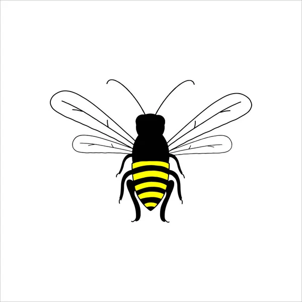 Big Bee Spread Wings White Background — Stock Vector