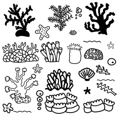 Farklı boyutlarda ve şekillerde mercanlar..