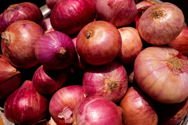 Una Vista Cercana Recolección Cebolla Roja Bulbo — Foto de Stock