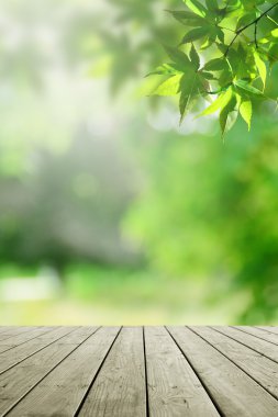 Taze doğa arka plan ve boş ahşap.