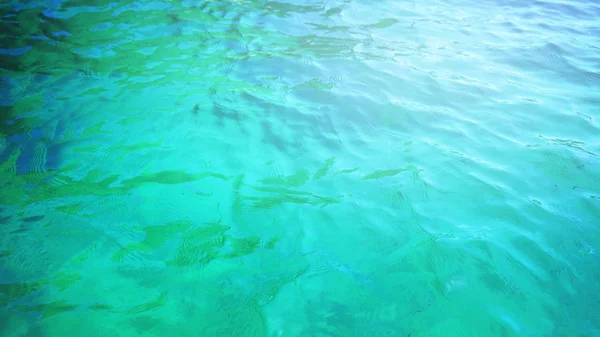 概要海を背景にした軟水 — ストック写真