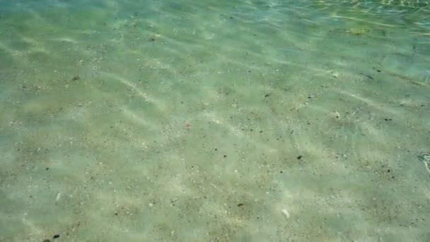 Abstract Texture Crystal Clear Water Sea Background Beautiful Tropical Beach — Stock Video