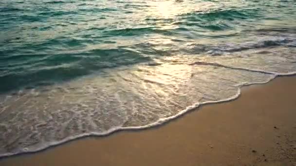 Zonsopgang Boven Tropisch Strand Prachtige Natuur Zee Golf Van Zee — Stockvideo