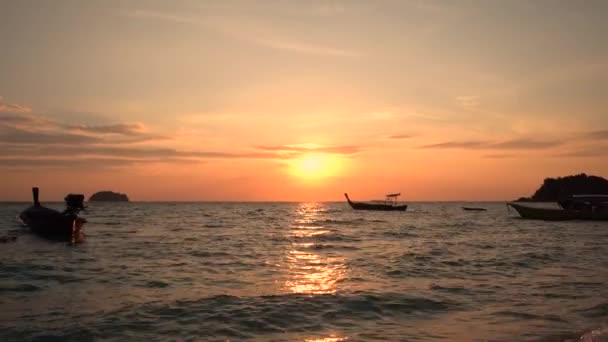 해변의 아름다운 꽁지깃 실루엣 — 비디오