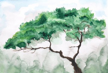 Çam ağacı yeşil bir arazide