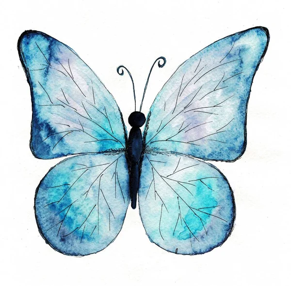 Motýl Akvarel Náčrt Tropický Brouk Křídla — Stock fotografie