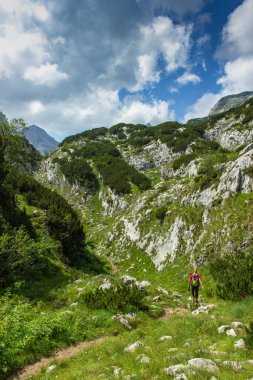Vahşi doğa ve dağların tadını çıkaran bir kız. Yeşil yaz dağları. Pembe ceketli kız..