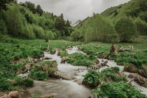 Kalter Quellfluss Bach Einer Waldlandschaft Steine Mit Moos Bedeckt Gebirgsbach — Stockfoto