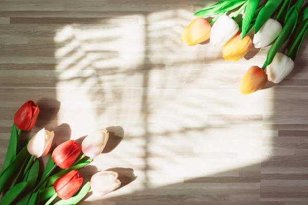 Concepto Primavera Plana Mínima Con Tulipán Colorido Sombra Palmera Sobre — Foto de Stock