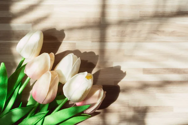 Concepto Primavera Plana Mínima Con Tulipán Colorido Sombra Palmera Sobre — Foto de Stock