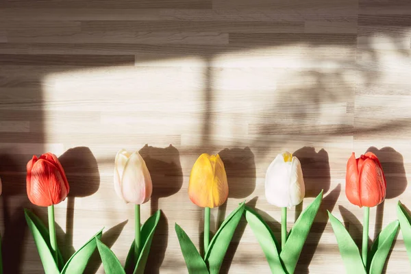 Concepto Primavera Plana Mínima Con Tulipán Colorido Sombra Palmera Sobre — Foto de Stock