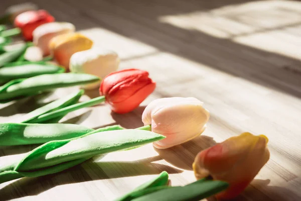 Concepto Primavera Plana Mínima Con Tulipán Colorido Sombra Fondo Madera — Foto de Stock