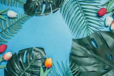 Pastel mavi arka plan üzerinde palmiye, canavar ve tropikal yaprak ağacı ve kopyalama alanı içeren en az düz zaman kavramı