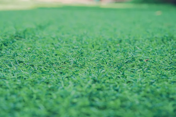 Natural Texture Soft Focus Green Grass Field Background Playground — Stock Photo, Image