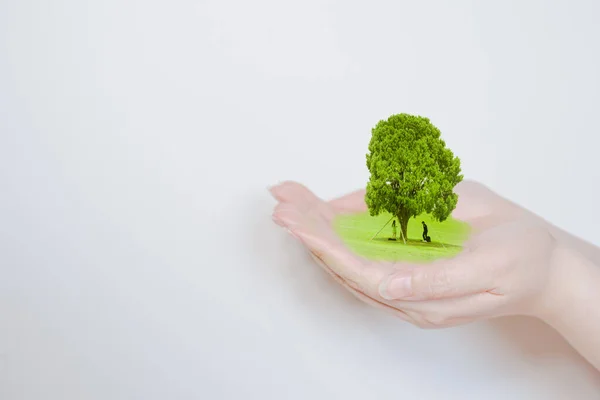 Dia Terra Proteger Atividade Ambiental Campo Grama Seca Céu Azul — Fotografia de Stock