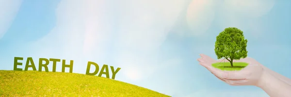 web banner earth day and protect environment activity from dry grass field and blue sky and tree in hand