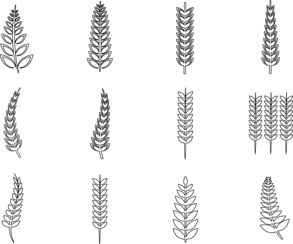 小穗和小麦籽粒 — 图库矢量图片