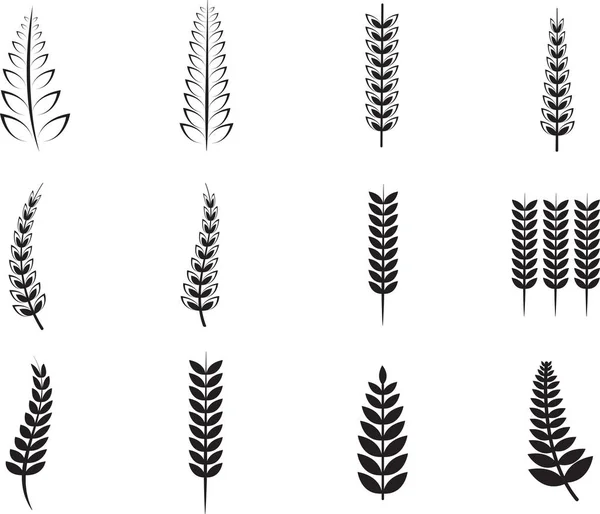 小穗和小麦籽粒 — 图库矢量图片