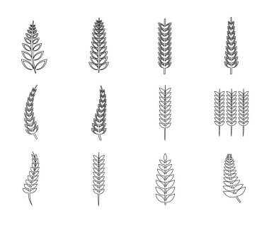  yaprakları için simge seti
