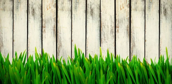 Grass against wood background — Stock Photo, Image