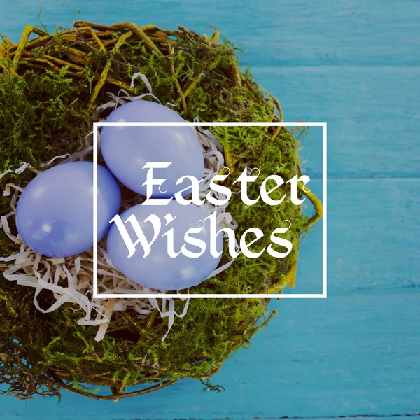Violet easter eggs — Stock Photo, Image