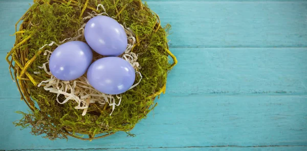 Violet Easter eggs — Stock Photo, Image